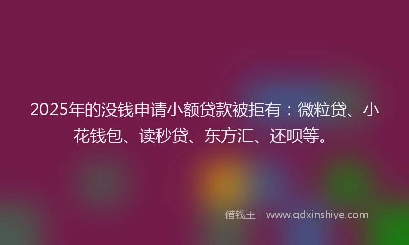 2025年的没钱申请小额贷款被拒有：微粒贷、小花钱包、读秒贷、东方汇、还呗等。