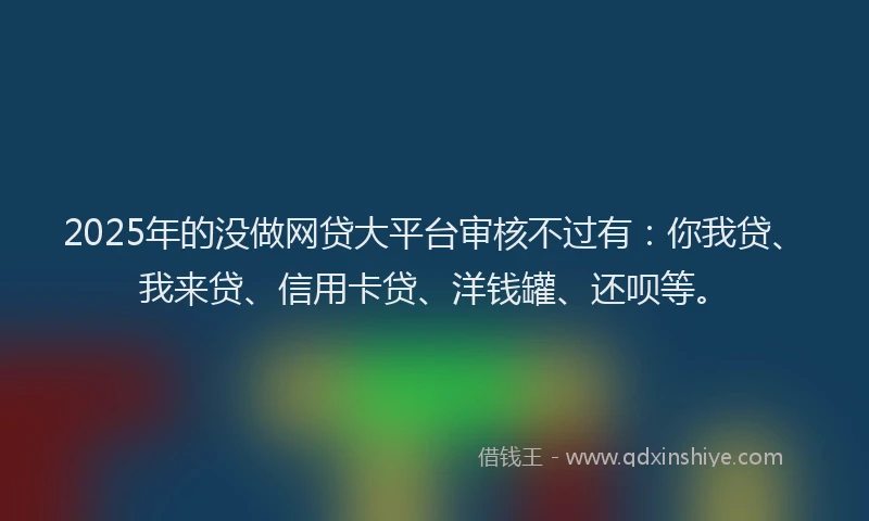 2025年的没做网贷大平台审核不过有：你我贷、我来贷、信用卡贷、洋钱罐、还呗等。
