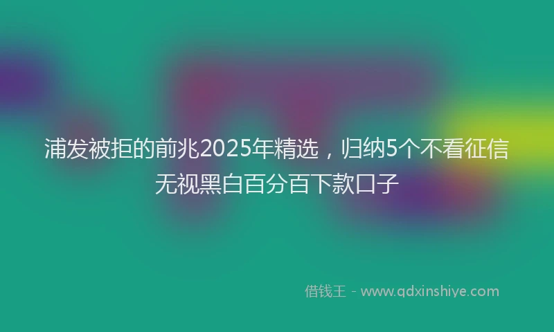 浦发被拒的前兆2025年精选，归纳5个不看征信无视黑白百分百下款口子