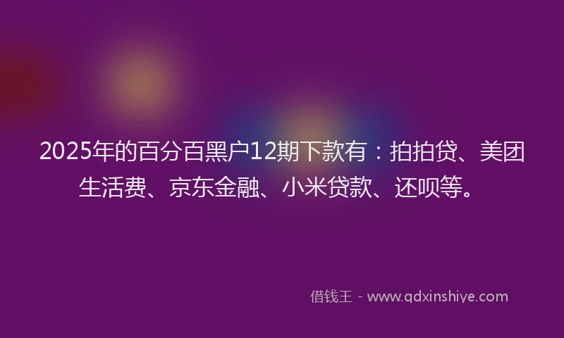 2025年的百分百黑户12期下款有：拍拍贷、美团生活费、京东金融、小米贷款、还呗等。