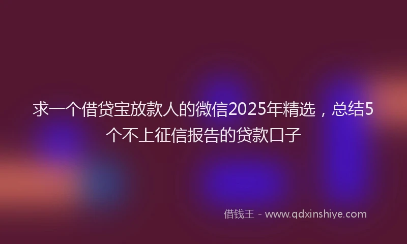 求一个借贷宝放款人的微信2025年精选，总结5个不上征信报告的贷款口子