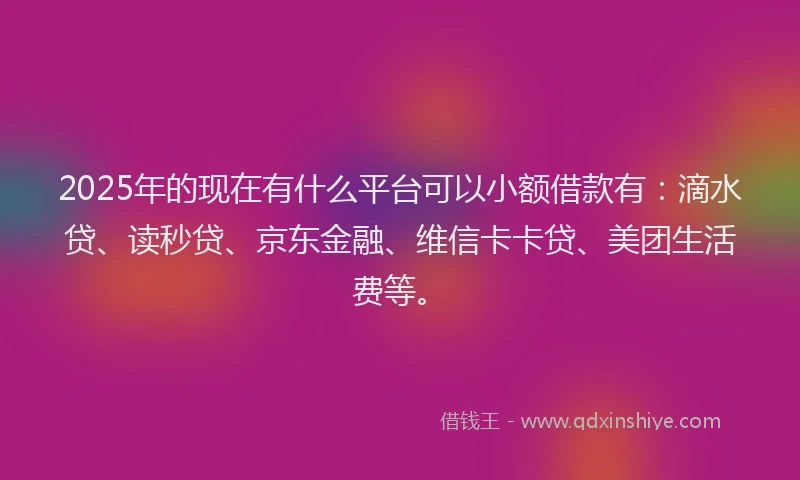 2025年的现在有什么平台可以小额借款有：滴水贷、读秒贷、京东金融、维信卡卡贷、美团生活费等。