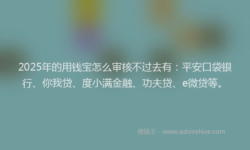2025年的用钱宝怎么审核不过去有：平安口袋银行、你我贷、度小满金融、功夫贷、e微贷等。