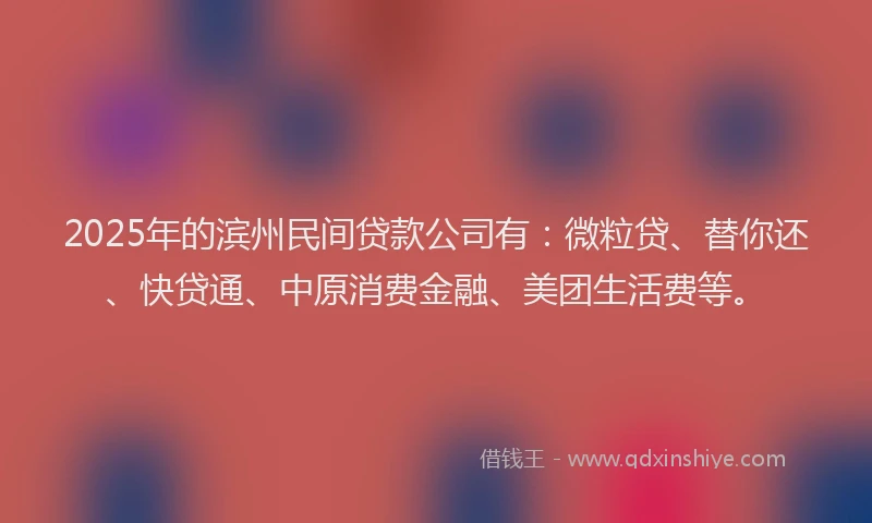 2025年的滨州民间贷款公司有：微粒贷、替你还、快贷通、中原消费金融、美团生活费等。