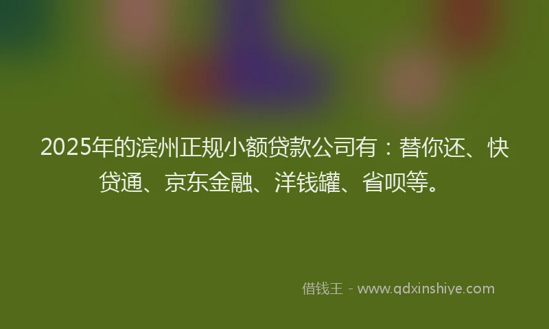 2025年的滨州正规小额贷款公司有：替你还、快贷通、京东金融、洋钱罐、省呗等。