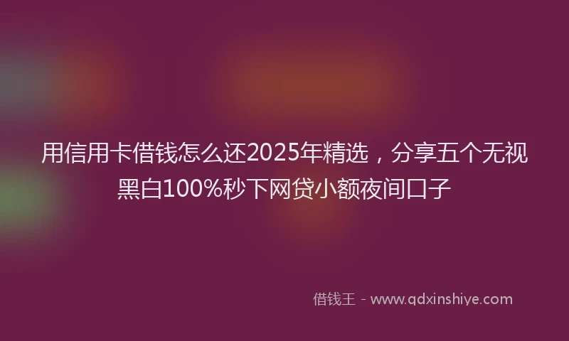 用信用卡借钱怎么还2025年精选，分享五个无视黑白100%秒下网贷小额夜间口子