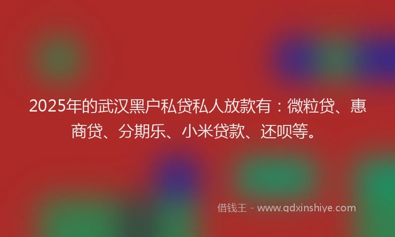 2025年的武汉黑户私贷私人放款有：微粒贷、惠商贷、分期乐、小米贷款、还呗等。