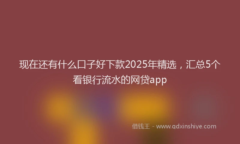 现在还有什么口子好下款2025年精选，汇总5个看银行流水的网贷app