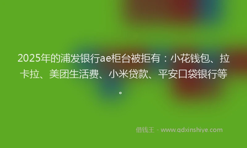 2025年的浦发银行ae柜台被拒有：小花钱包、拉卡拉、美团生活费、小米贷款、平安口袋银行等。