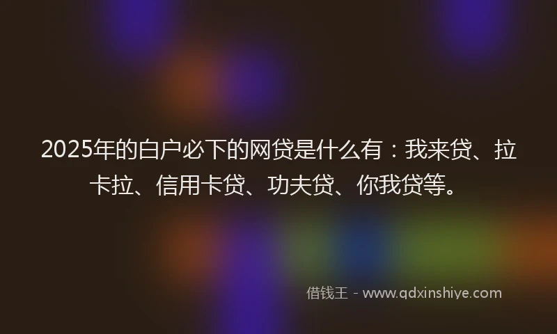 2025年的白户必下的网贷是什么有：我来贷、拉卡拉、信用卡贷、功夫贷、你我贷等。