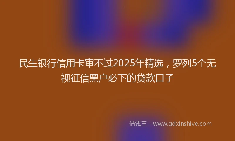 民生银行信用卡审不过2025年精选，罗列5个无视征信黑户必下的贷款口子
