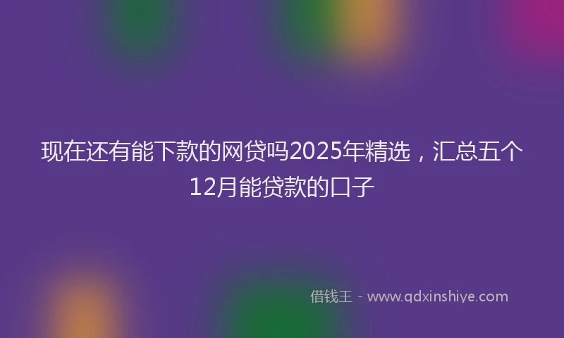 现在还有能下款的网贷吗2025年精选，汇总五个12月能贷款的口子