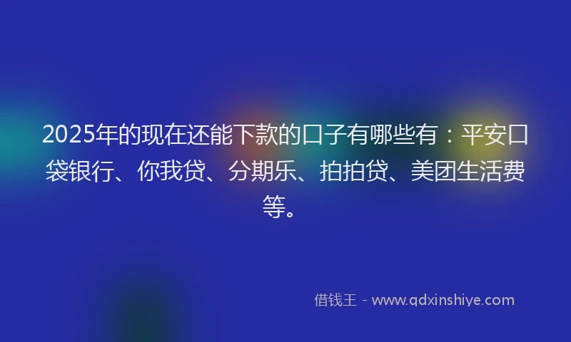 2025年的现在还能下款的口子有哪些有：平安口袋银行、你我贷、分期乐、拍拍贷、美团生活费等。