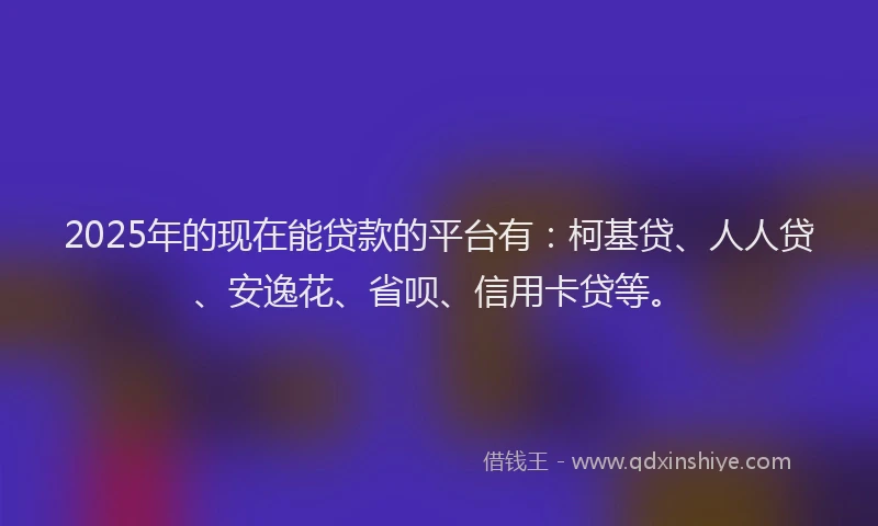 2025年的现在能贷款的平台有：柯基贷、人人贷、安逸花、省呗、信用卡贷等。