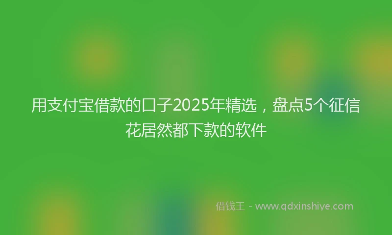 用支付宝借款的口子2025年精选，盘点5个征信花居然都下款的软件