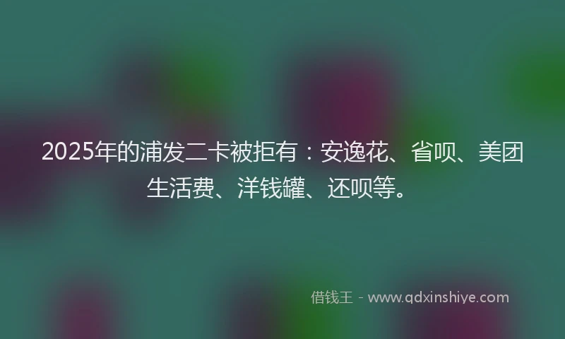 2025年的浦发二卡被拒有：安逸花、省呗、美团生活费、洋钱罐、还呗等。
