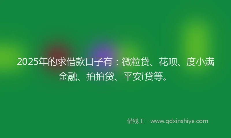 2025年的求借款口子有：微粒贷、花呗、度小满金融、拍拍贷、平安i贷等。