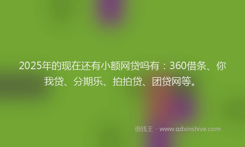 2025年的现在还有小额网贷吗有：360借条、你我贷、分期乐、拍拍贷、团贷网等。