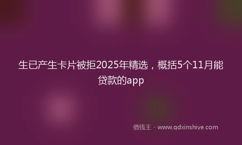 生已产生卡片被拒2025年精选，概括5个11月能贷款的app