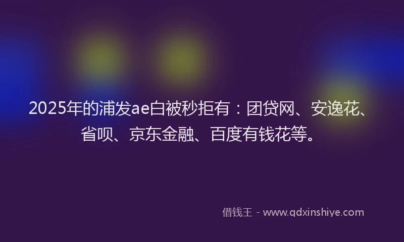 2025年的浦发ae白被秒拒有：团贷网、安逸花、省呗、京东金融、百度有钱花等。