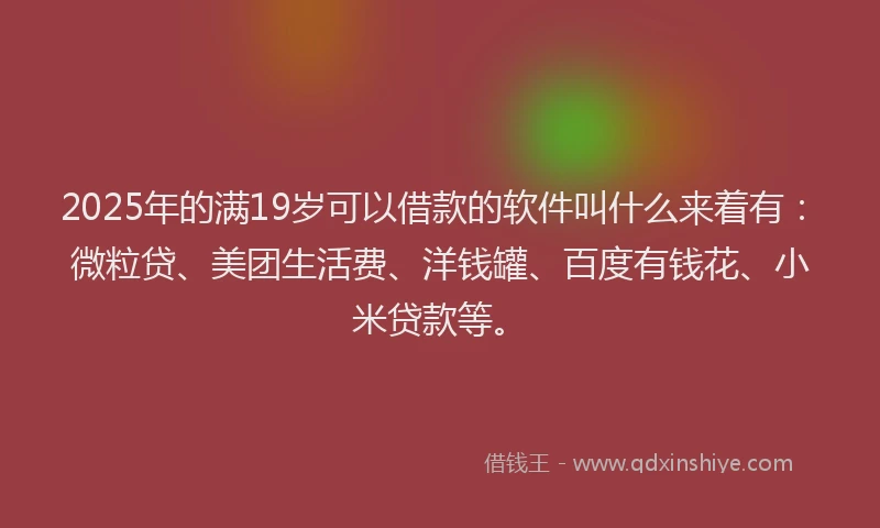 2025年的满19岁可以借款的软件叫什么来着有：微粒贷、美团生活费、洋钱罐、百度有钱花、小米贷款等。