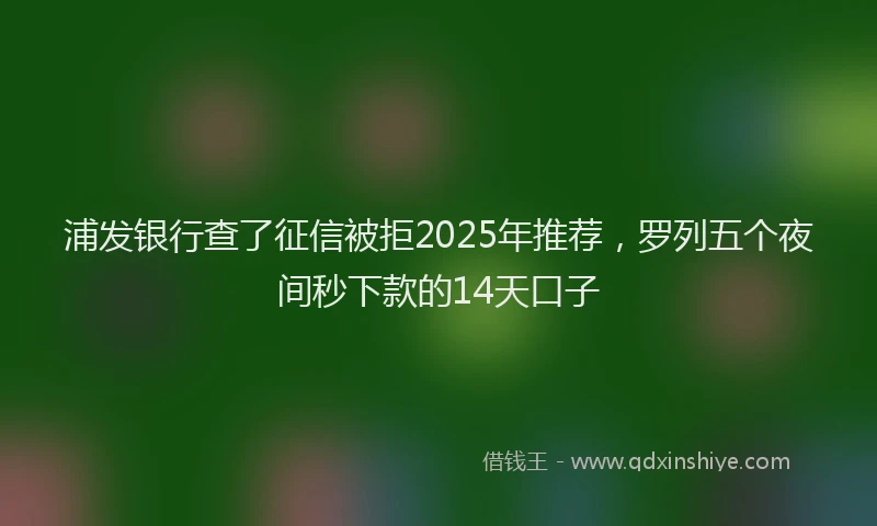 浦发银行查了征信被拒2025年推荐，罗列五个夜间秒下款的14天口子