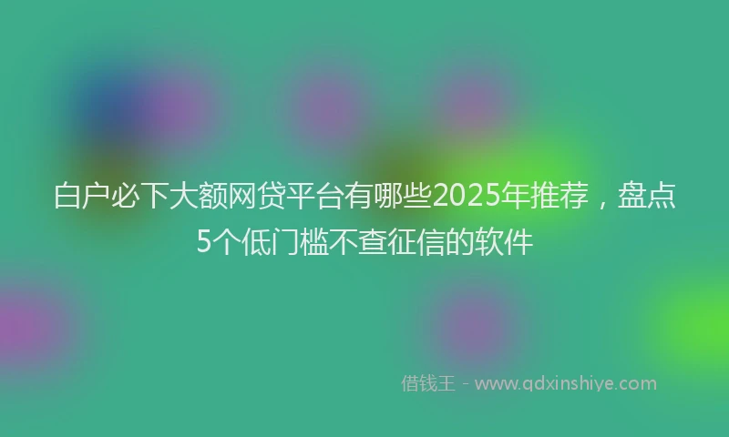 白户必下大额网贷平台有哪些2025年推荐，盘点5个低门槛不查征信的软件