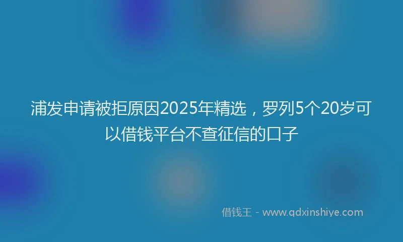 浦发申请被拒原因2025年精选，罗列5个20岁可以借钱平台不查征信的口子