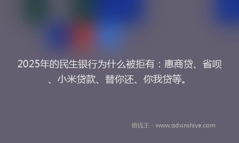 2025年的民生银行为什么被拒有：惠商贷、省呗、小米贷款、替你还、你我贷等。