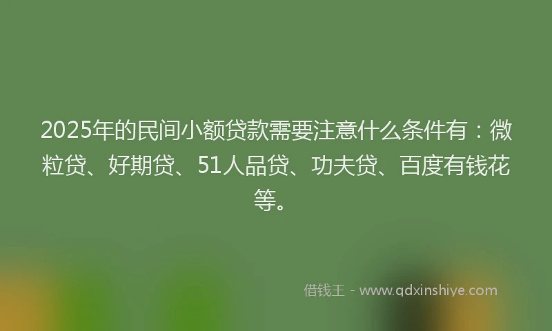 2025年的民间小额贷款需要注意什么条件有：微粒贷、好期贷、51人品贷、功夫贷、百度有钱花等。
