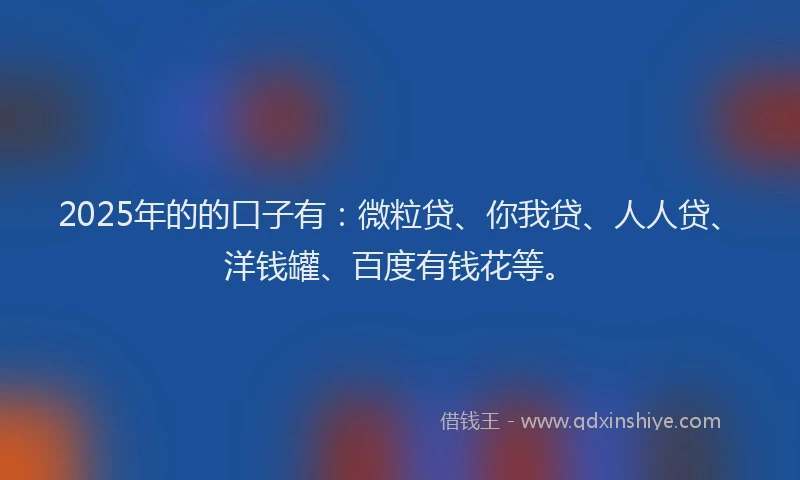 2025年的的口子有：微粒贷、你我贷、人人贷、洋钱罐、百度有钱花等。