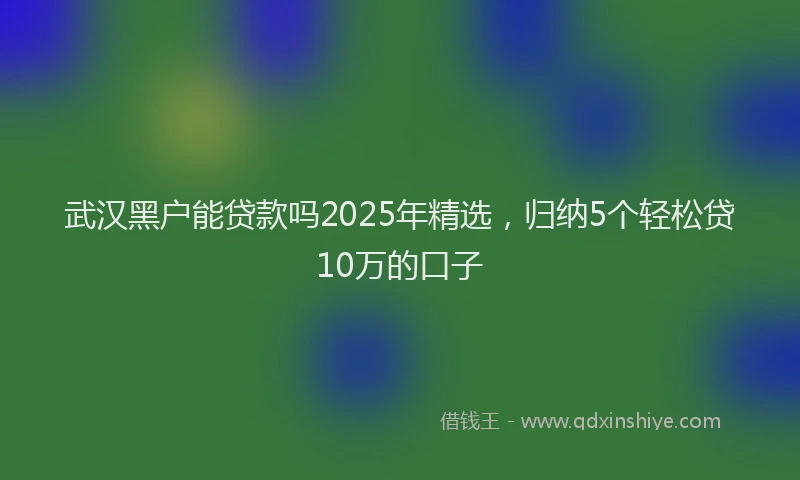 武汉黑户能贷款吗2025年精选，归纳5个轻松贷10万的口子