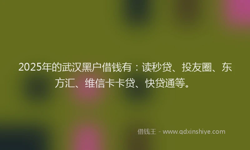 2025年的武汉黑户借钱有：读秒贷、投友圈、东方汇、维信卡卡贷、快贷通等。