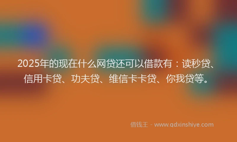 2025年的现在什么网贷还可以借款有：读秒贷、信用卡贷、功夫贷、维信卡卡贷、你我贷等。
