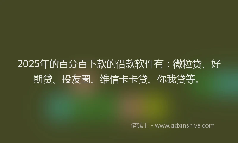 2025年的百分百下款的借款软件有：微粒贷、好期贷、投友圈、维信卡卡贷、你我贷等。
