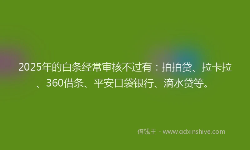 2025年的白条经常审核不过有：拍拍贷、拉卡拉、360借条、平安口袋银行、滴水贷等。