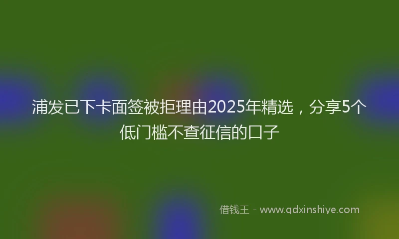 浦发已下卡面签被拒理由2025年精选，分享5个低门槛不查征信的口子