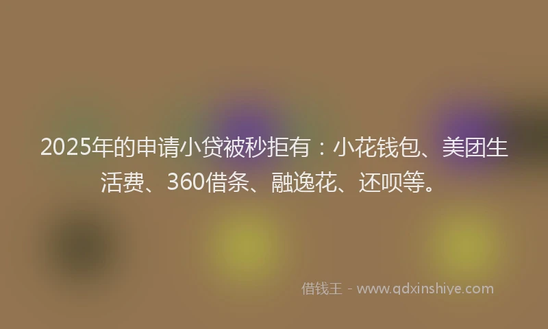 2025年的申请小贷被秒拒有：小花钱包、美团生活费、360借条、融逸花、还呗等。
