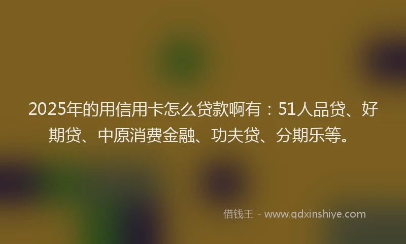 2025年的用信用卡怎么贷款啊有：51人品贷、好期贷、中原消费金融、功夫贷、分期乐等。
