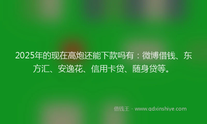 2025年的现在高炮还能下款吗有：微博借钱、东方汇、安逸花、信用卡贷、随身贷等。