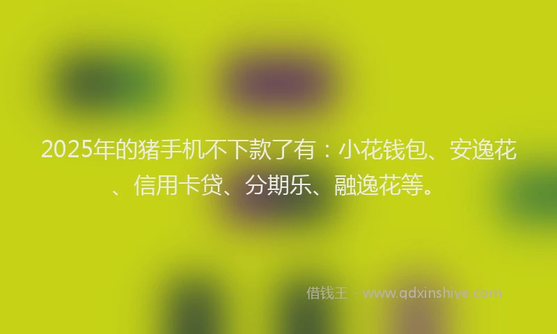 2025年的猪手机不下款了有：小花钱包、安逸花、信用卡贷、分期乐、融逸花等。