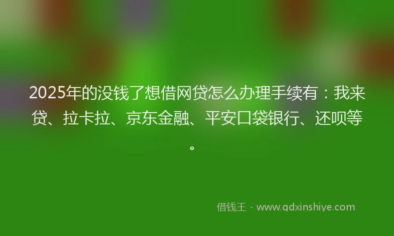 2025年的没钱了想借网贷怎么办理手续有：我来贷、拉卡拉、京东金融、平安口袋银行、还呗等。