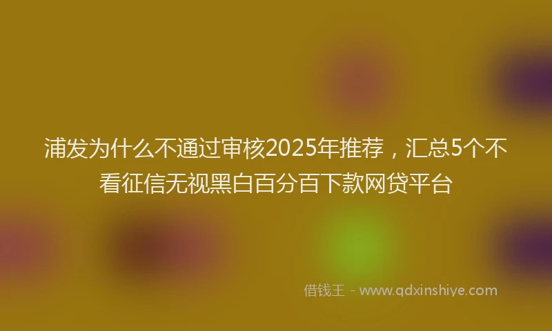 浦发为什么不通过审核2025年推荐，汇总5个不看征信无视黑白百分百下款网贷平台