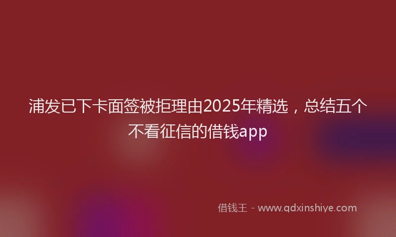 浦发已下卡面签被拒理由2025年精选，总结五个不看征信的借钱app