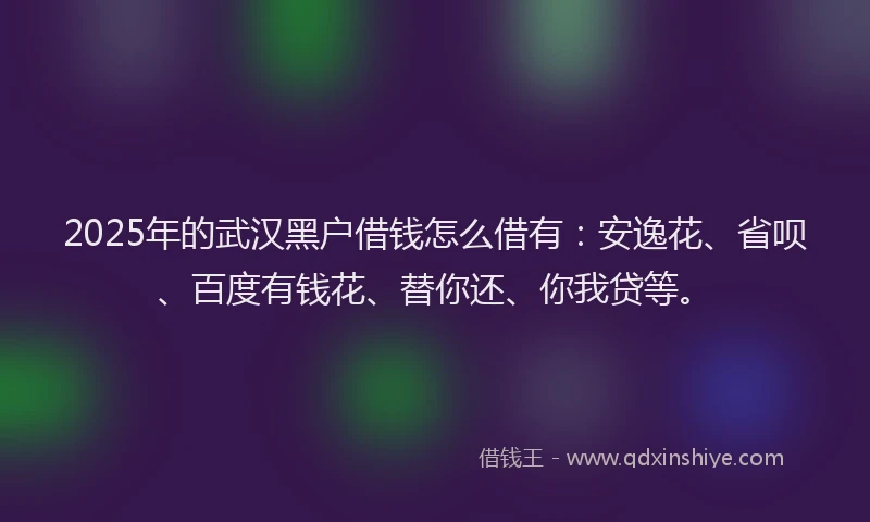 2025年的武汉黑户借钱怎么借有：安逸花、省呗、百度有钱花、替你还、你我贷等。