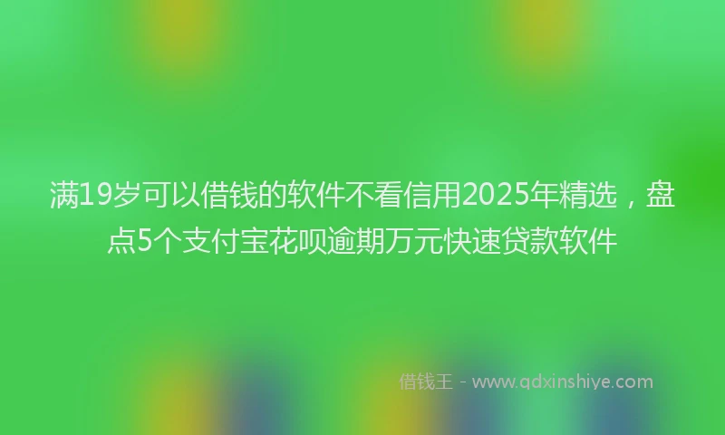 满19岁可以借钱的软件不看信用2025年精选，盘点5个支付宝花呗逾期万元快速贷款软件