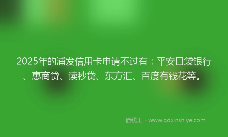 2025年的浦发信用卡申请不过有：平安口袋银行、惠商贷、读秒贷、东方汇、百度有钱花等。