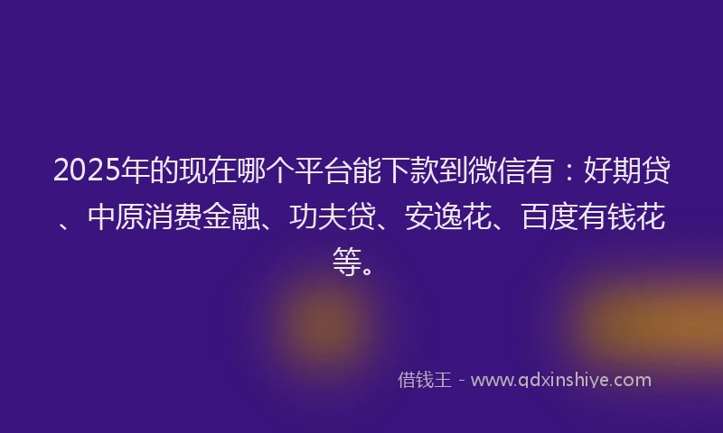 2025年的现在哪个平台能下款到微信有：好期贷、中原消费金融、功夫贷、安逸花、百度有钱花等。