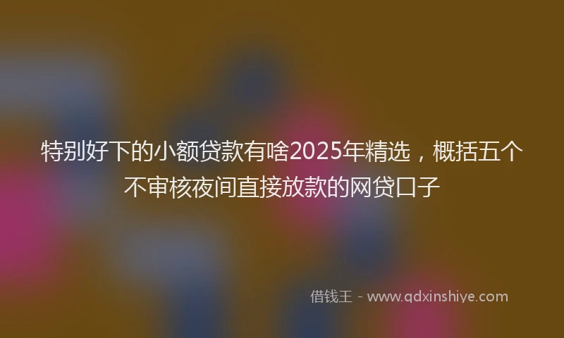 特别好下的小额贷款有啥2025年精选，概括五个不审核夜间直接放款的网贷口子