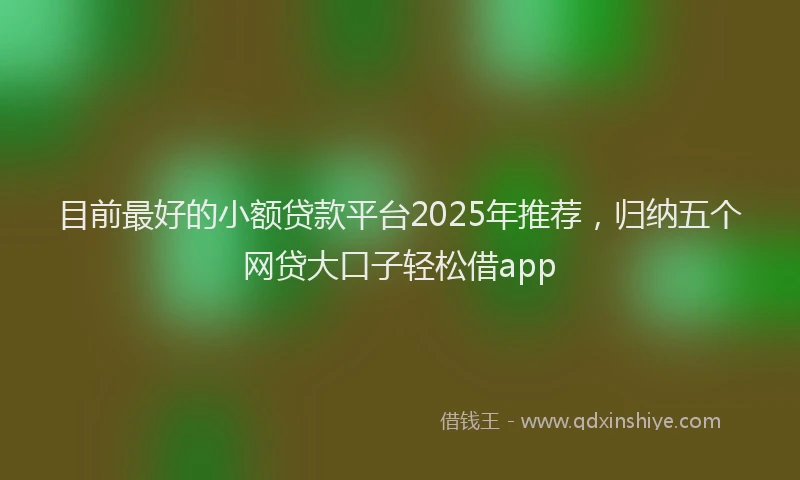 目前最好的小额贷款平台2025年推荐，归纳五个网贷大口子轻松借app